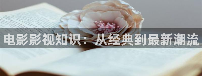 樱桃茄子视频：电影影视知识：从经典到最新潮流
