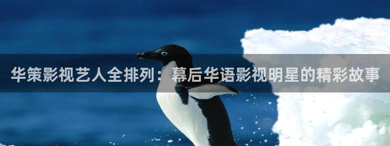 茄子视频 magnet：华策影视艺人全排列：幕后华语影视明星的精彩故事