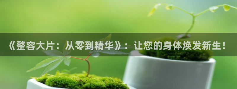茄子视频：《整容大片：从零到精华》：让您的身体焕发新生！