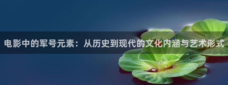 小优视频茄子视频