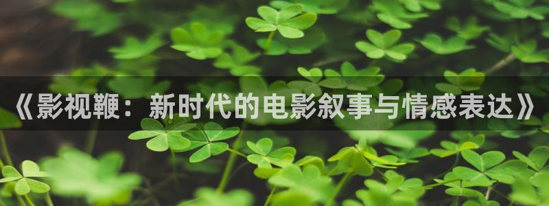 四虎茄子视频