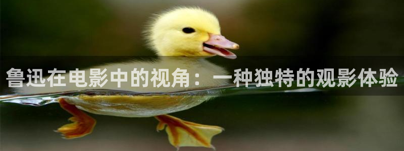 茄子视频 magnet：鲁迅在电影中的视角：一种独特的观影体验