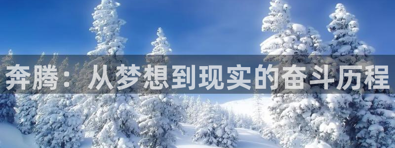 茄子视频qz：奔腾：从梦想到现实的奋斗历程
