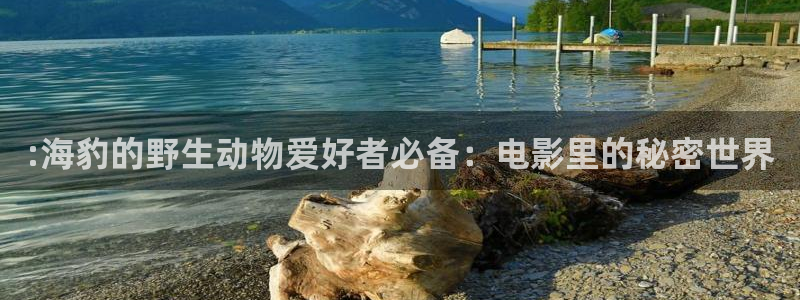 91茄子视频：:海豹的野生动物爱好者必备：电影里的秘密世界