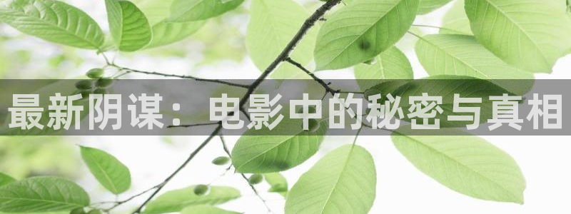茄子视频无限看丝瓜视频丝瓜视免费观看