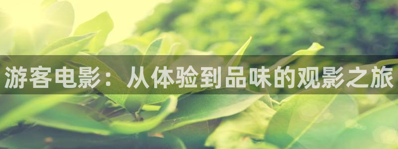 大茄子视频：游客电影：从体验到品味的观影之旅