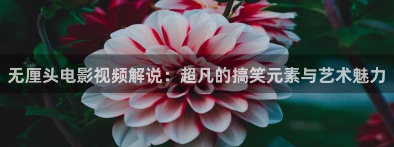 茄子视频一：无厘头电影视频解说：超凡的搞笑元素与艺术魅力