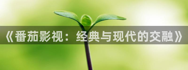 樱花视频茄子视频：《番茄影视：经典与现代的交融》