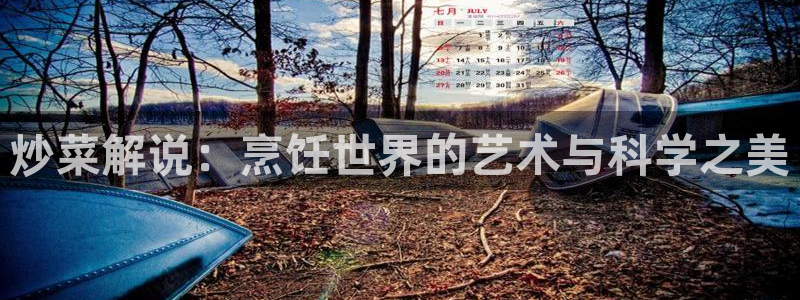 茄子视频a：炒菜解说：烹饪世界的艺术与科学之美