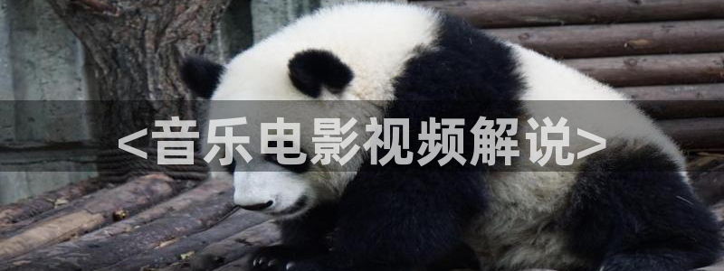 小优视频茄子视频