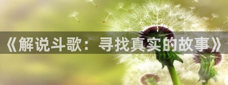 茄子视频 magnet