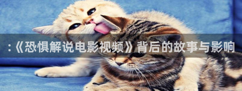 丝瓜茄子视频在线观看