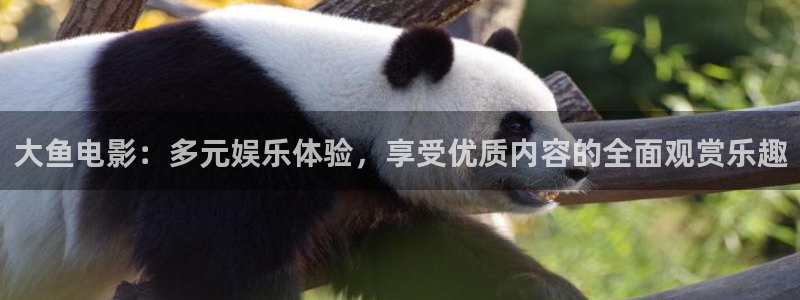 茄子视频?