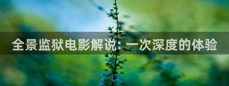 茄子视频qz：全景监狱电影解说: 一次深度的体验