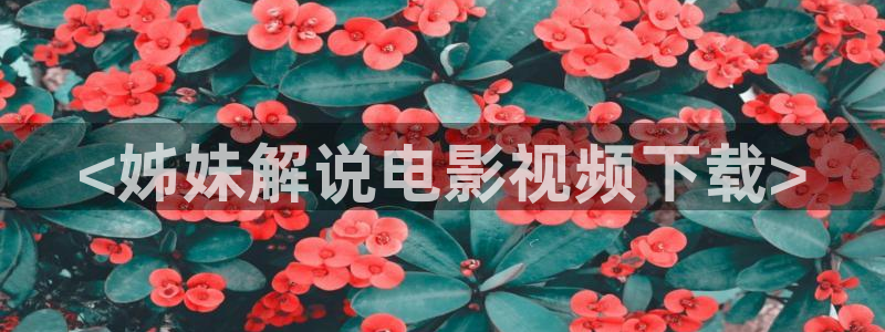 茄子视频：<姊妹解说电影视频下载>