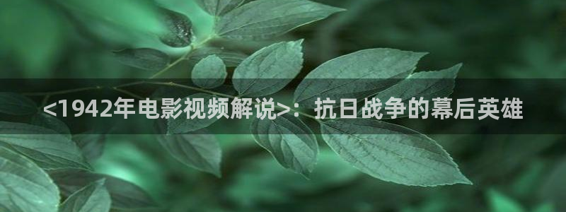 qiezi茄子视频：<1942年电影视频解说>：抗日战争的幕后英雄