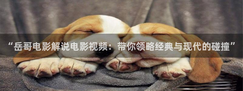 大茄子视频：“岳哥电影解说电影视频：带你领略经典与现代的碰撞”