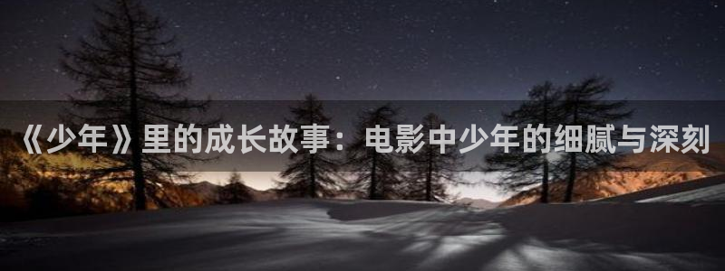 大茄子视频：《少年》里的成长故事：电影中少年的细腻与深刻