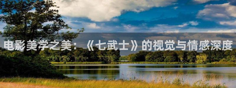 茄子视频视频：电影美学之美：《七武士》的视觉与情感深度