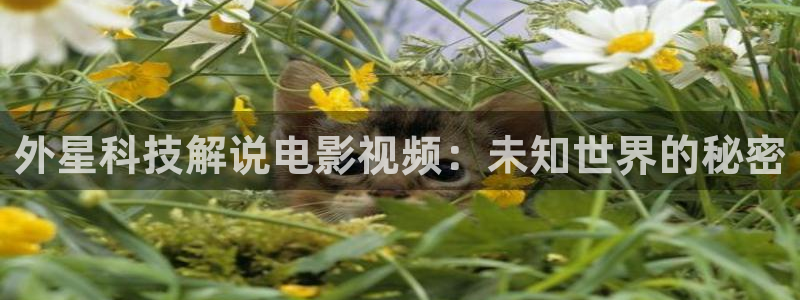 qiezi 茄子视频：外星科技解说电影视频：未知世界的秘密
