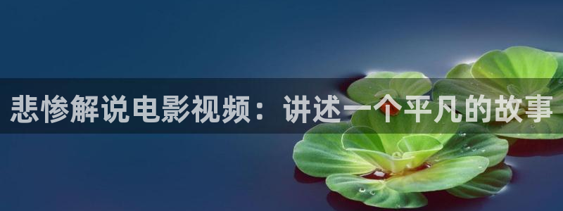 茄子视频?：悲惨解说电影视频：讲述一个平凡的故事
