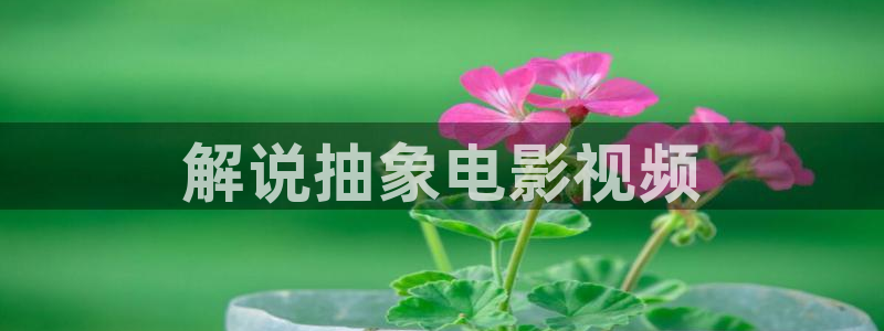 茄子视频无限看丝瓜视频丝瓜视免费观看：解说抽象电影视频