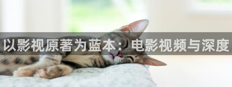 茄子视频?：以影视原著为蓝本：电影视频与深度
