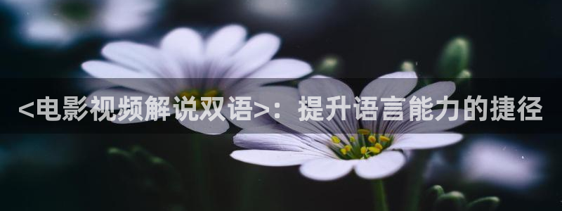 茄子视频色版：<电影视频解说双语>：提升语言能力的捷径