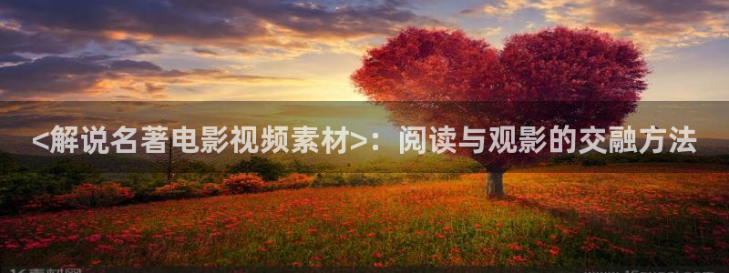 小优视频茄子视频：<解说名著电影视频素材>：阅读与观影的交融方法
