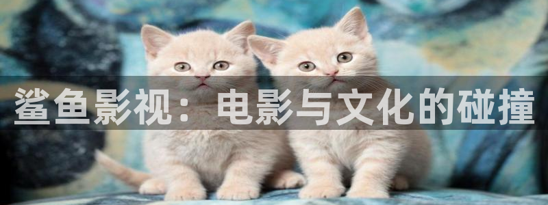 茄子视频：鲨鱼影视：电影与文化的碰撞