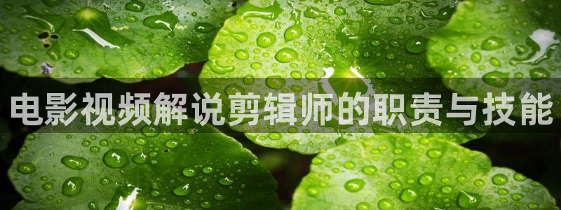 茄子视频qz：电影视频解说剪辑师的职责与技能