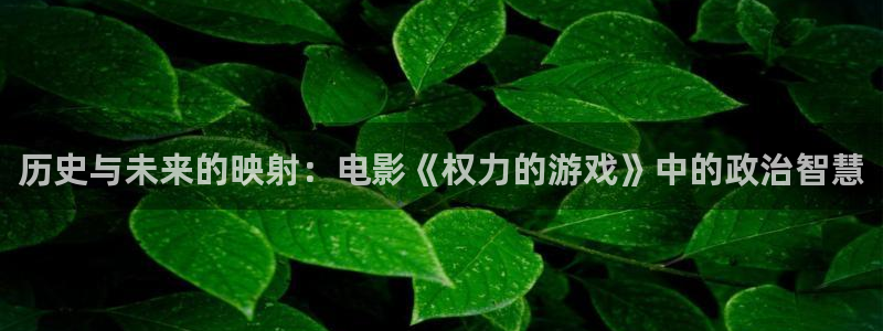 茄子视频色版：历史与未来的映射：电影《权力的游戏》中的政治智慧