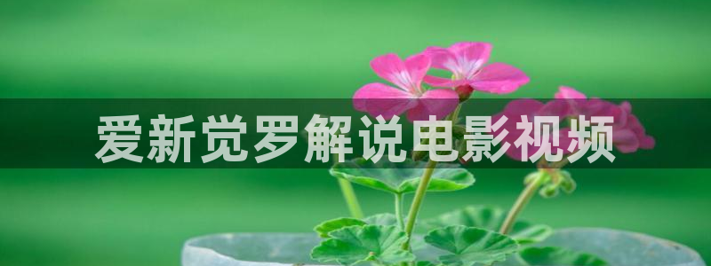小优视频茄子视频：爱新觉罗解说电影视频