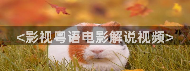 茄子视频：<影视粤语电影解说视频>