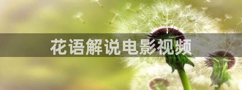 四虎茄子视频：花语解说电影视频