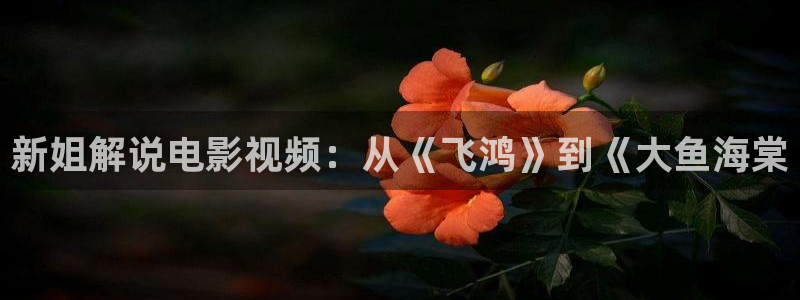 茄子视频：新姐解说电影视频：从《飞鸿》到《大鱼海棠