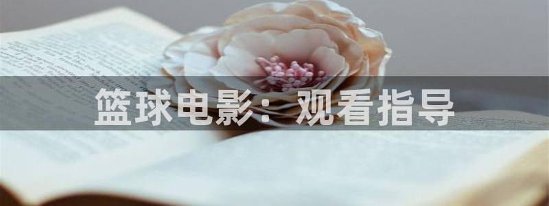 茄子视频qz：篮球电影：观看指导