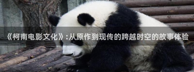 茄子视频色版：《柯南电影文化》:从原作到现传的跨越时空的故事体验