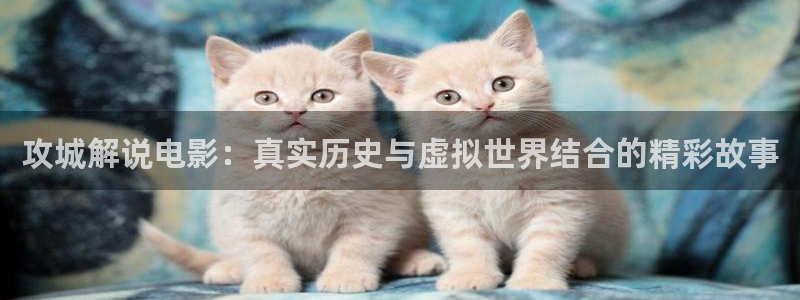 樱花视频茄子视频