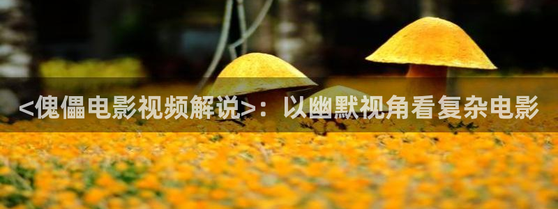 茄子视频色版：<傀儡电影视频解说>：以幽默视角看复杂电影