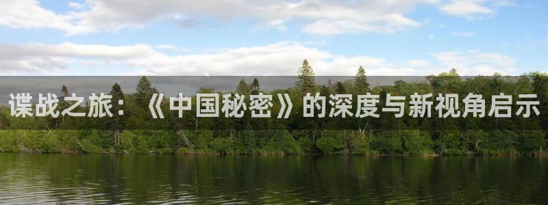 茄子视频了：谍战之旅：《中国秘密》的深度与新视角启示