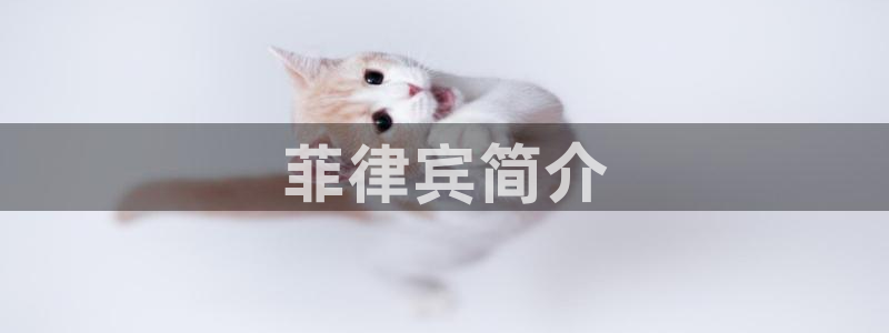 茄子视频qz：菲律宾简介