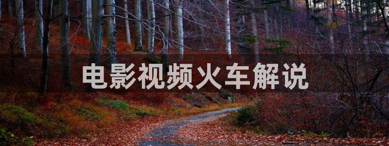 茄子视频：电影视频火车解说