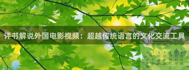 茄子视频a：评书解说外国电影视频：超越传统语言的文化交流工具
