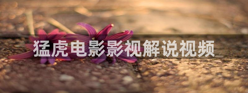 qiezi 茄子视频：猛虎电影影视解说视频