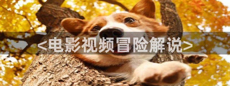 茄子视频一：<电影视频冒险解说>
