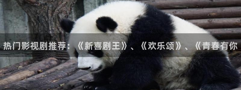 茄子视频色版：热门影视剧推荐：《新喜剧王》、《欢乐颂》、《青春有你