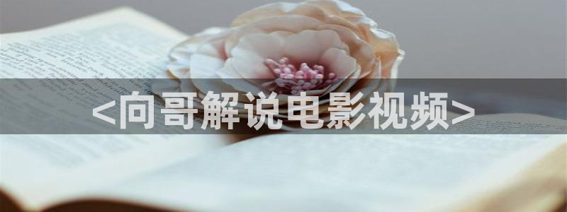 qiezi 茄子视频