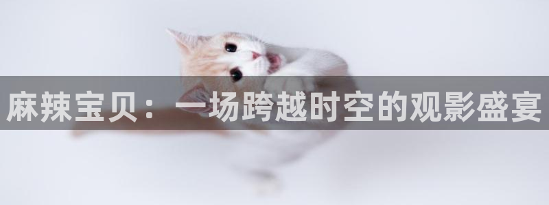 茄子视频 magnet