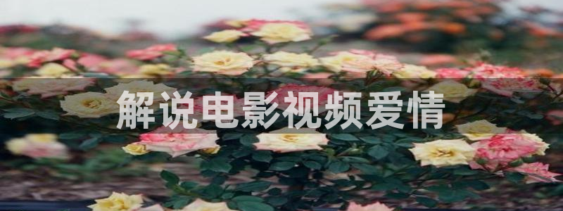 四虎茄子视频